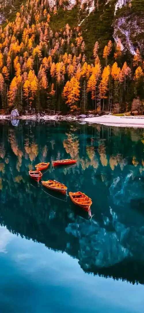 风景壁纸,活着本身就是一种价值,因为还有明天