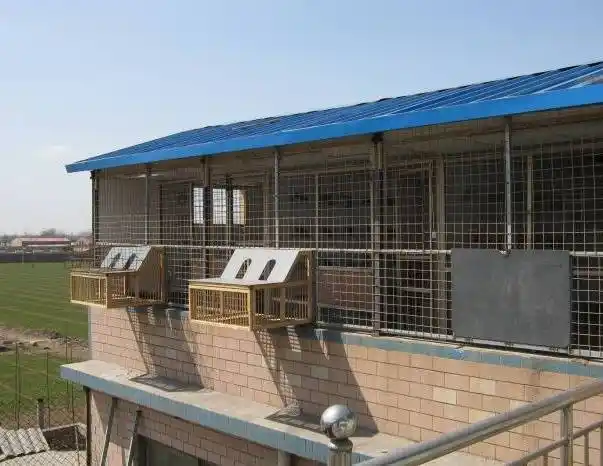 建舍参考:盘点各式各样的鸽棚