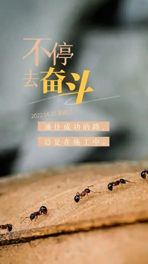 心系今天的美好,运筹今天的幸福,把握今天的命运,用一颗真诚