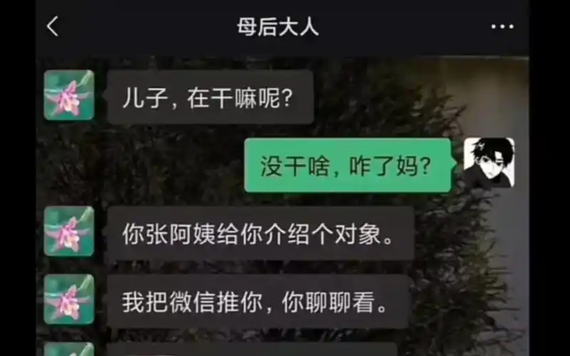 爆笑来袭:你张阿姨给你介绍了个对象.