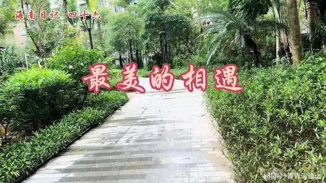 最美的相遇 大狸视频_网易视频