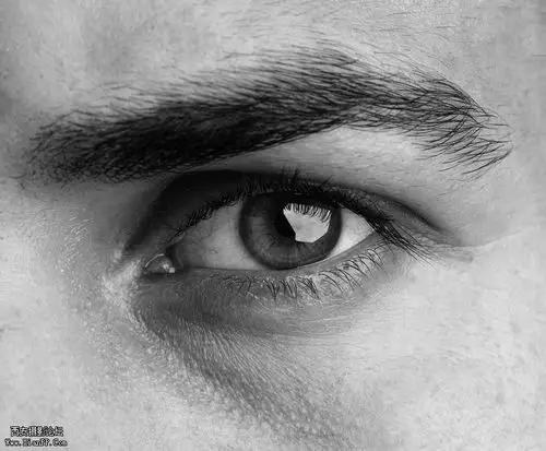 浅谈眼神光的效果和运用