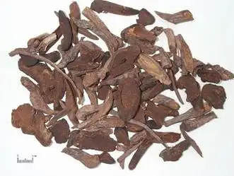 别名: 白地榆,鼠尾地榆,涩地榆,赤地榆,红地榆,山枣参,水槟榔 药用