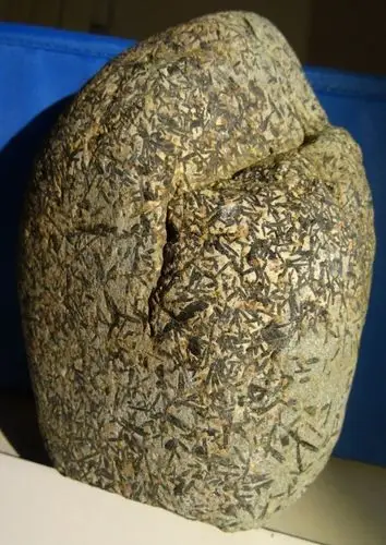 发现一块石头,里面有好多碳化的松针,感觉象是化石,请高人指点.