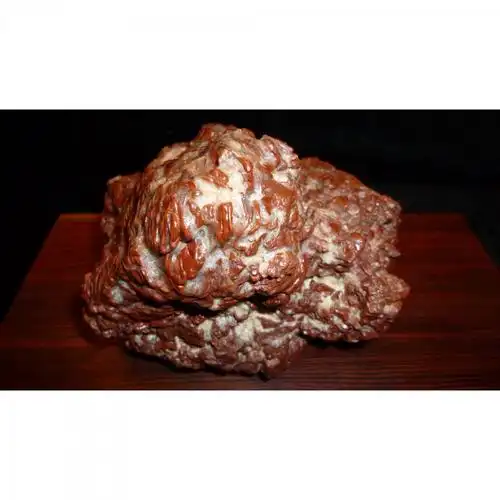 石馆 辰龙奇石  阿拉善早期地表红色马牙原石精品摆件置景配件象形石