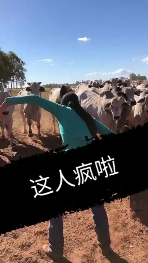 搞笑段子剧#人要是疯了,谁都害怕