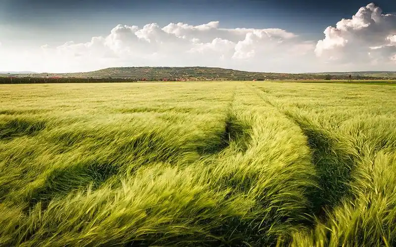 清新怡人自然风景1600x1200分辨率查看