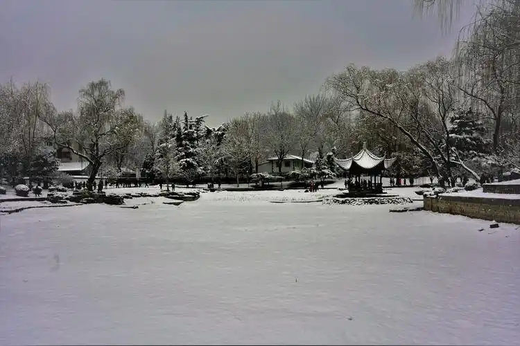 2020冬陶然亭雪景