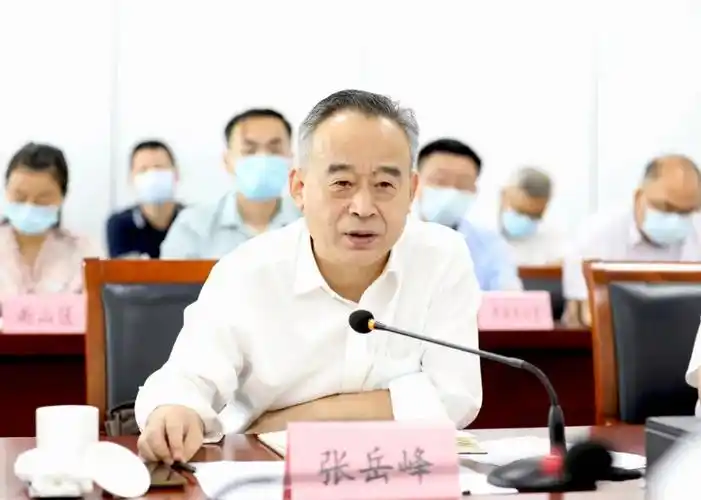 省委常委,政法委书记张韵声来马开展"优环境,稳经济"活动现场办公