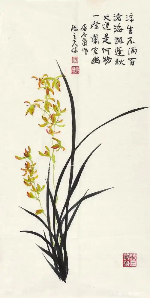 素心兰香——名家画笔下的写意兰花作品(图)