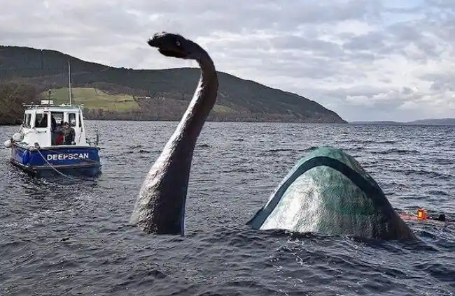 尼斯湖水怪2.champ海怪3.开赛暴龙4.大型猫科动物5.德·洛伊斯的猿6.