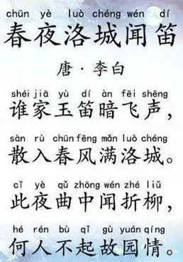 初中必背古诗:春夜洛城闻笛拼音版