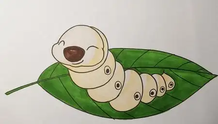 蚕宝宝怎么画蚕宝宝线描画彩色