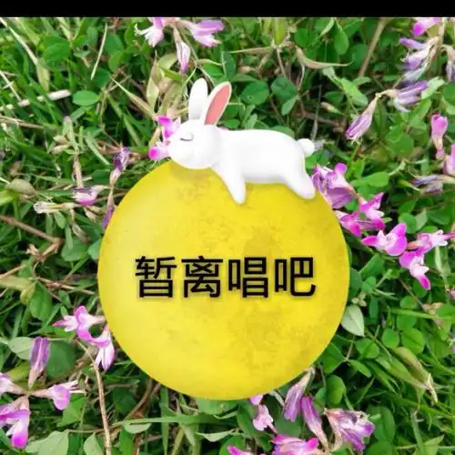 梨花又开放 - 唱吧,最时尚的手机ktv