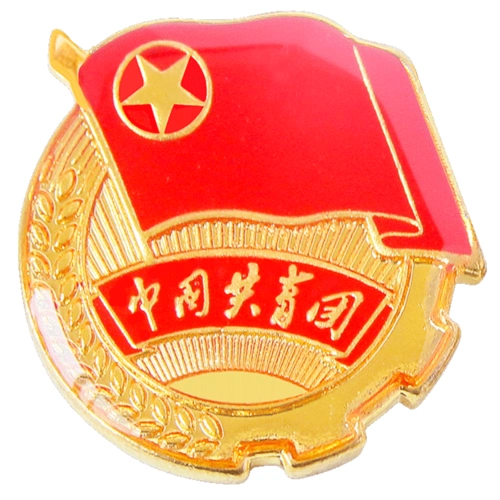 标准款共青团团徽磁铁扣别针学生用标准型团徽10个装视频