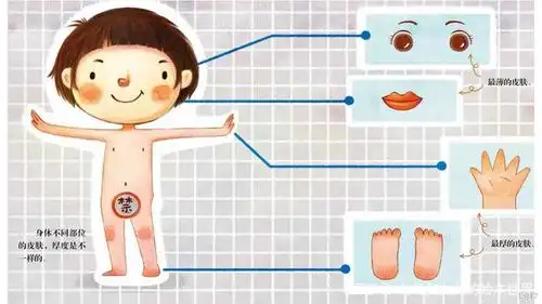 身体不同部位的皮肤,厚度是不一样的.