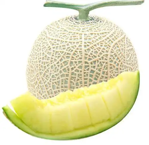 世界上最大的网纹瓜,快来咬一口吧!在天上呢!