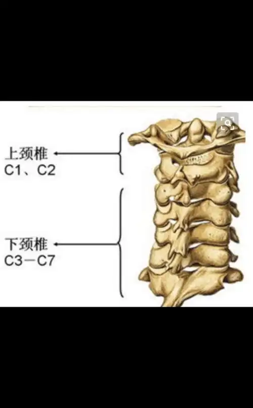 颈椎病早起身体会发出的几个信号,早知道早预防!