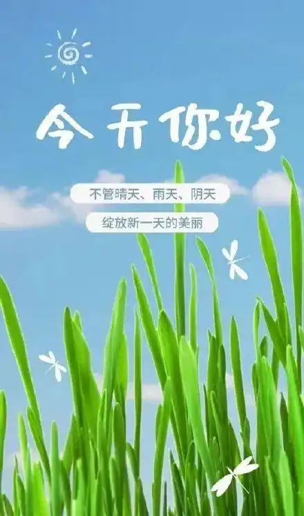 激励人奋斗的正能量句子,积极阳光,挑一句送给自己