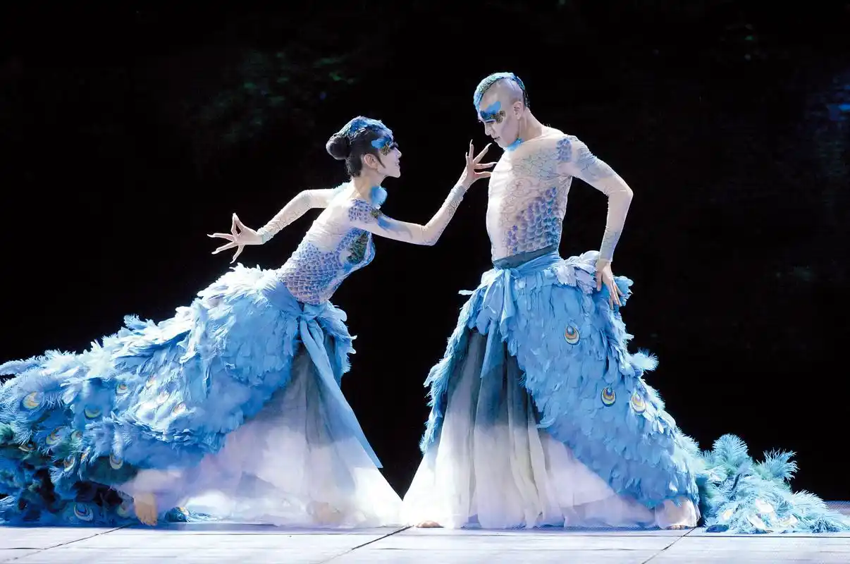 杨丽萍孔雀舞男舞者清凉造型尺度大,百姓欣赏不了的艺术有何用?