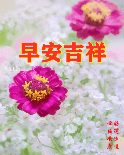 20216116124周日愉快早安30心语