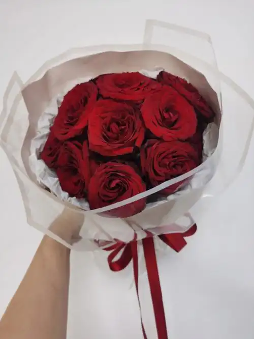 520送朋友的红玫瑰