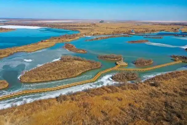 东营黄河口生态旅游区:沉浸自然怀抱的奇观之旅