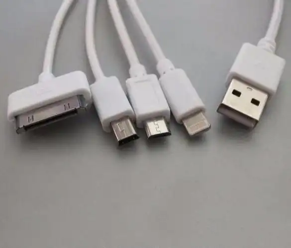 手机充电器接口类型(免费科普这3种充电器接口) | 本地通