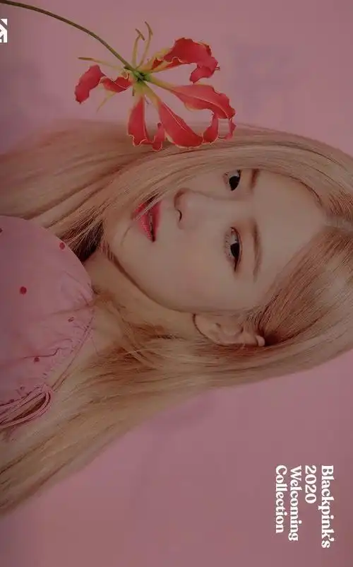 blackpink | rosé朴彩英高清壁纸 - 知乎