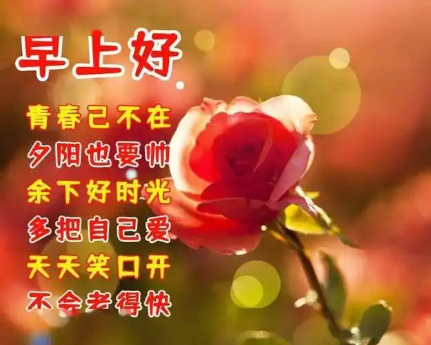 早上好7897909293989798今天的健康82才是明天的