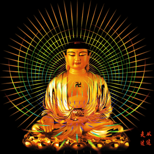 500_500gif 动态图 动图