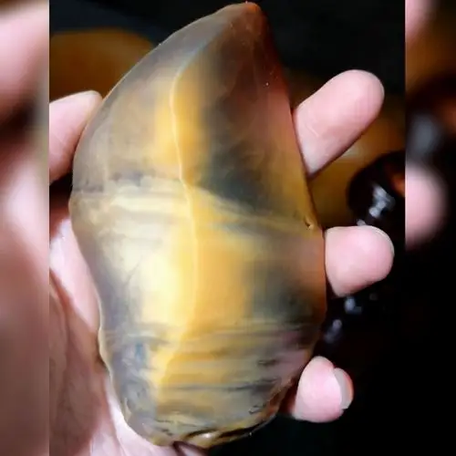 新疆金丝玉沙漠漆原石展32 - 美篇