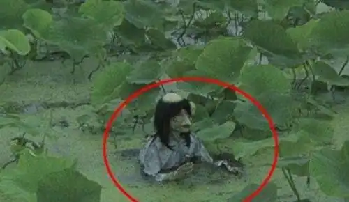 水猴子长什么样的水猴子水鬼图片揭秘恐怖至极