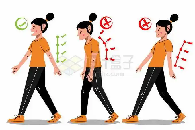 卡通女人正确和错误的走路姿势对脊椎的伤害对比图6734693矢量图片免
