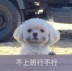 不上班行不行啊表情包 - 不上班行不行啊微信表情包 - 不上班行不行啊