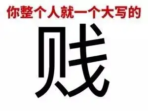 你整个人就是一个大写的二 - 斗图大会 - 纯文字表情库 - 真正的斗图