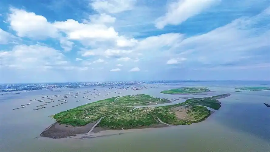 通洲沙江心岛:长江画卷的生态窗口