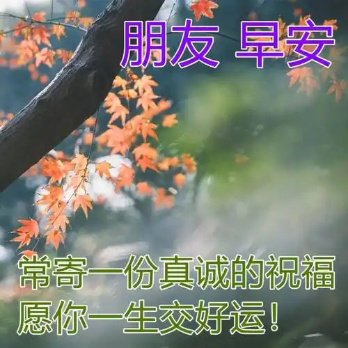 原创8张创意好看的春日清晨早上好祝福图片免打字聊天的早安问候祝福
