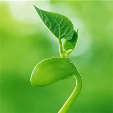 适合春天的头像图片高清适合春天微信头像合集