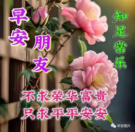 早安暖心问候祝福图片,平安健康,早安吉祥!|快乐|清晨|幸福_网易订阅