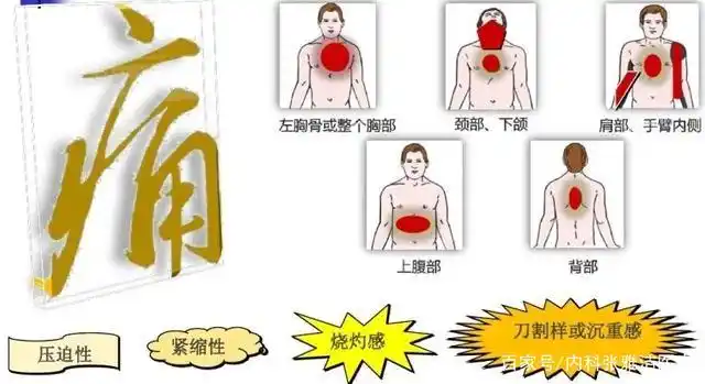 胸痛是原发于胸部或由躯体其他部位放射到胸部的疼痛,原因多样,程度不