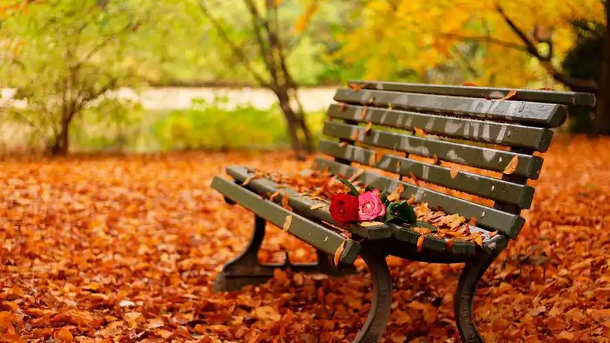 秋季枫叶唯美意境,高清图片,电脑桌面-壁纸族