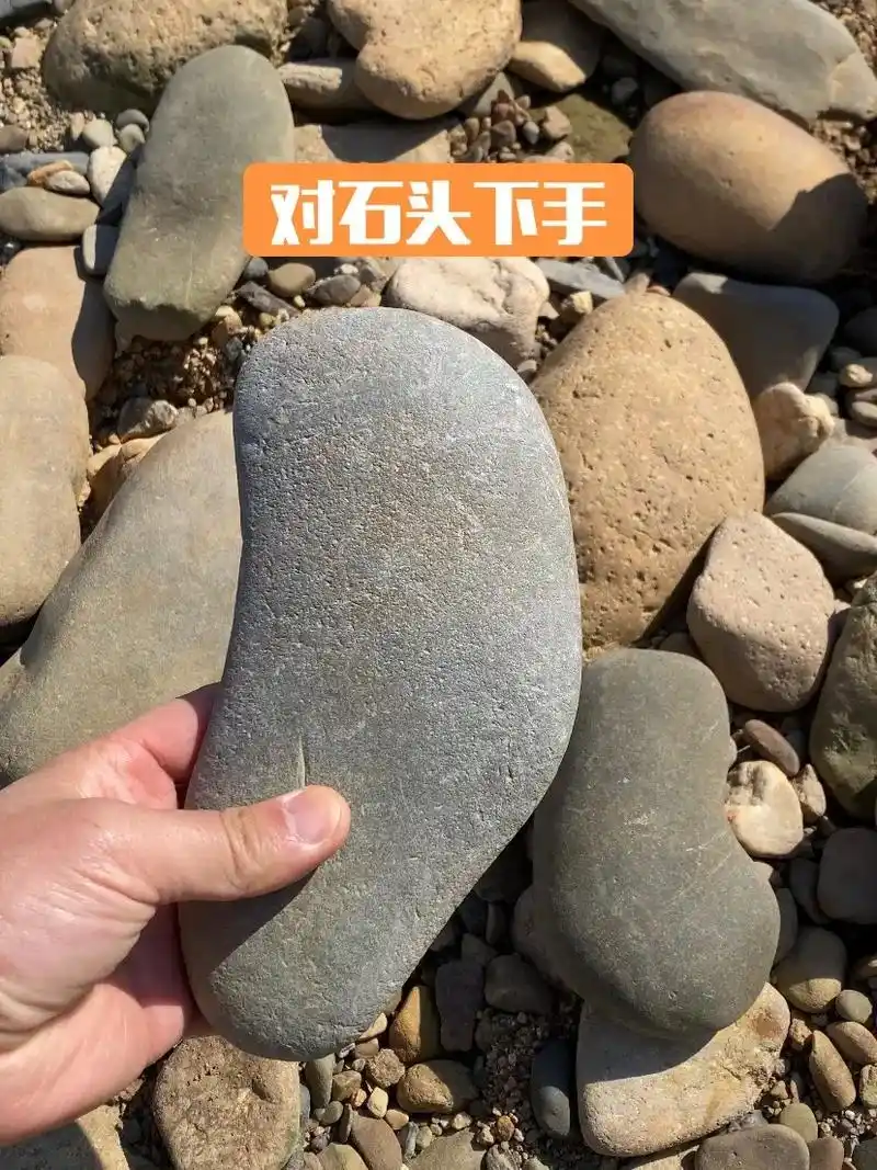 河边捡石头 #创意 #手工  #变废为宝 #石 - 抖音