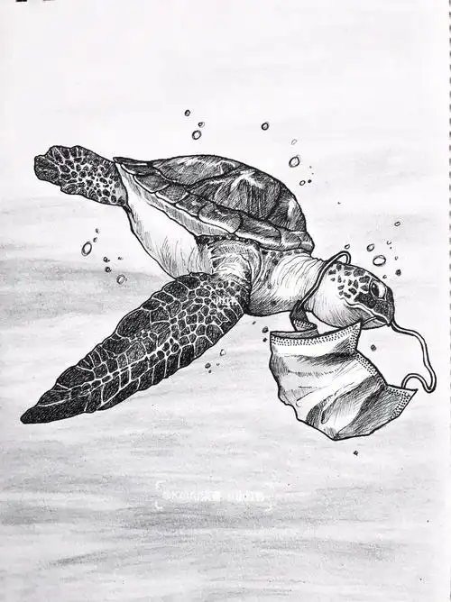 黑白装饰画练习手绘海龟15100附带过程