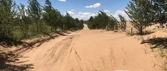 26日上午,甘肃省举行敦煌市阳关林场防护林被毁问题调查情况新闻发布