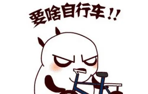 要啥自行车是什么意思?