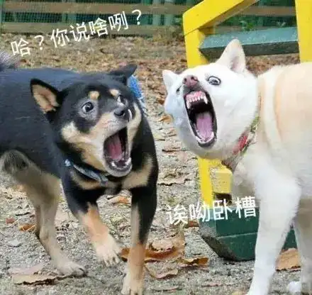 放学时当着全校师生面大声学狗叫劝不要吵架重点是