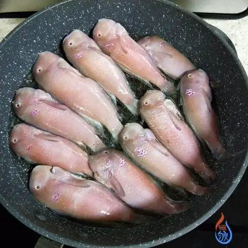 椒盐鹦哥鱼,香酥鲜美,下酒棒极了