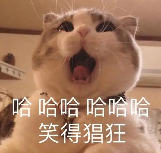 萌宠gif猫星人gif哈哈哈gif笑得猖狂gif呆萌gif可爱gif