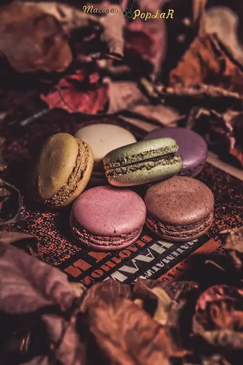 马卡龙拍摄|摄影|其他摄影|z25592123 - 原创作品 - 站酷 (zcool)